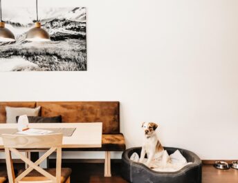 Apart Jasmin - Flachau