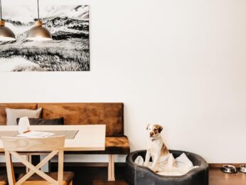 Apart Jasmin - Flachau